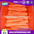 2014 Fresh Carrot Market Price 2L